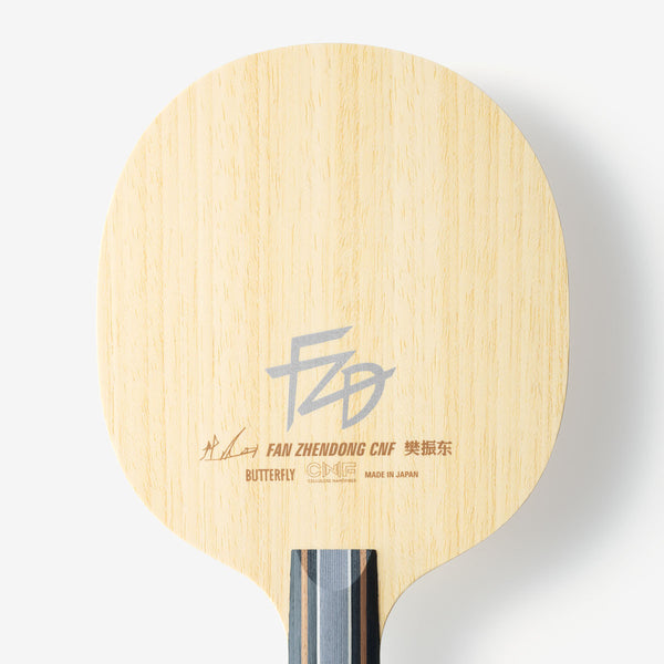 BUTTERFLY FAN ZHENDONG CNF CS