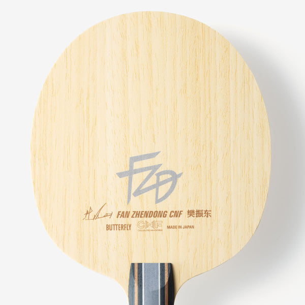 BUTTERFLY FAN ZHENDONG CNF