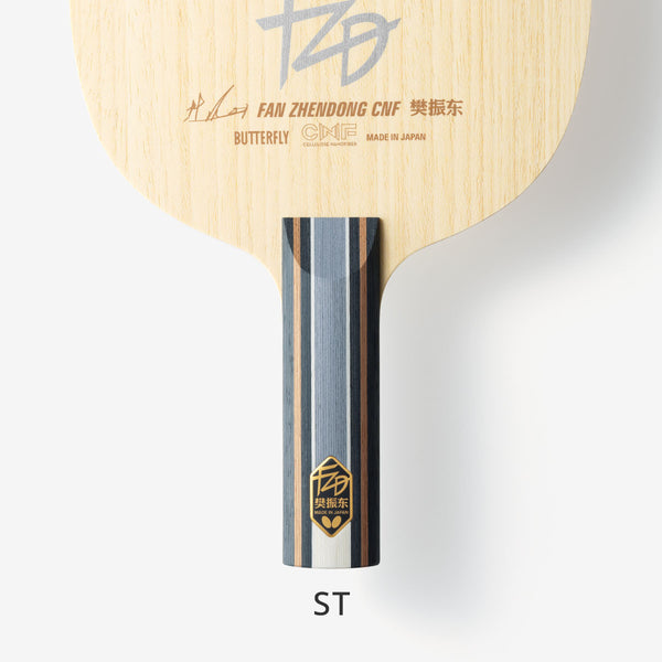 BUTTERFLY FAN ZHENDONG CNF